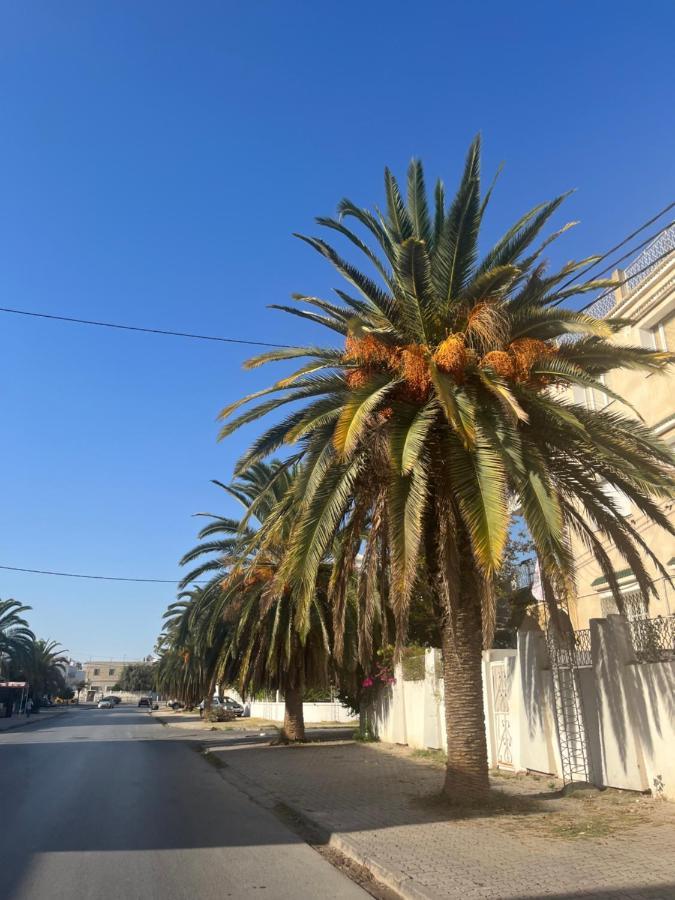 דירות Le Bardo Sublime Duplex Au Bardo Tunis מראה חיצוני תמונה